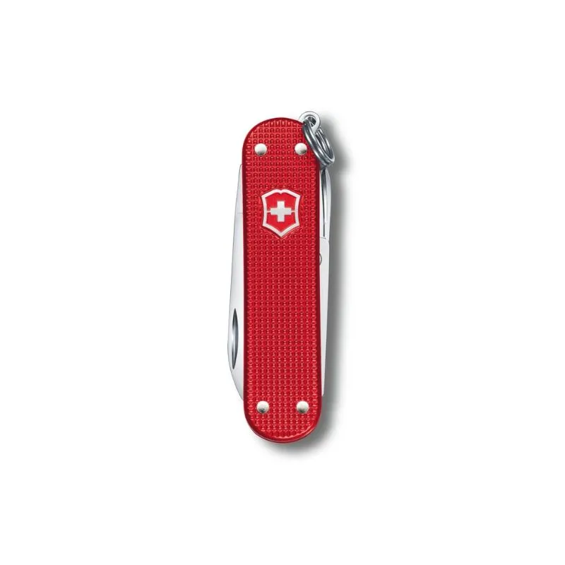 Classic Pocket Knife in Bold, Vivid Colors