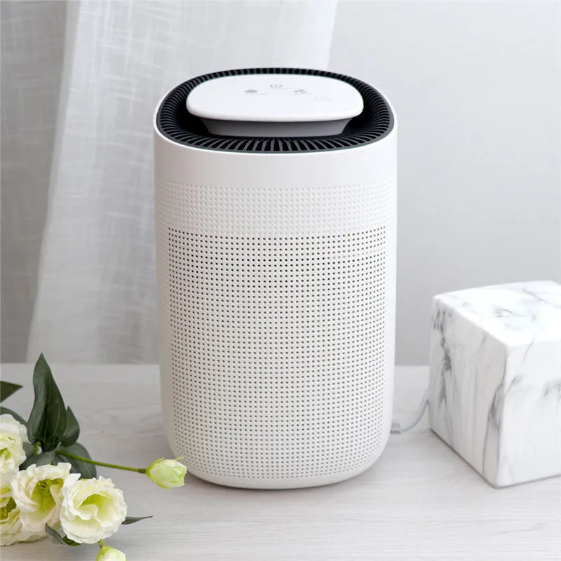 Home Fashion Small Air Purification Dehumidifier