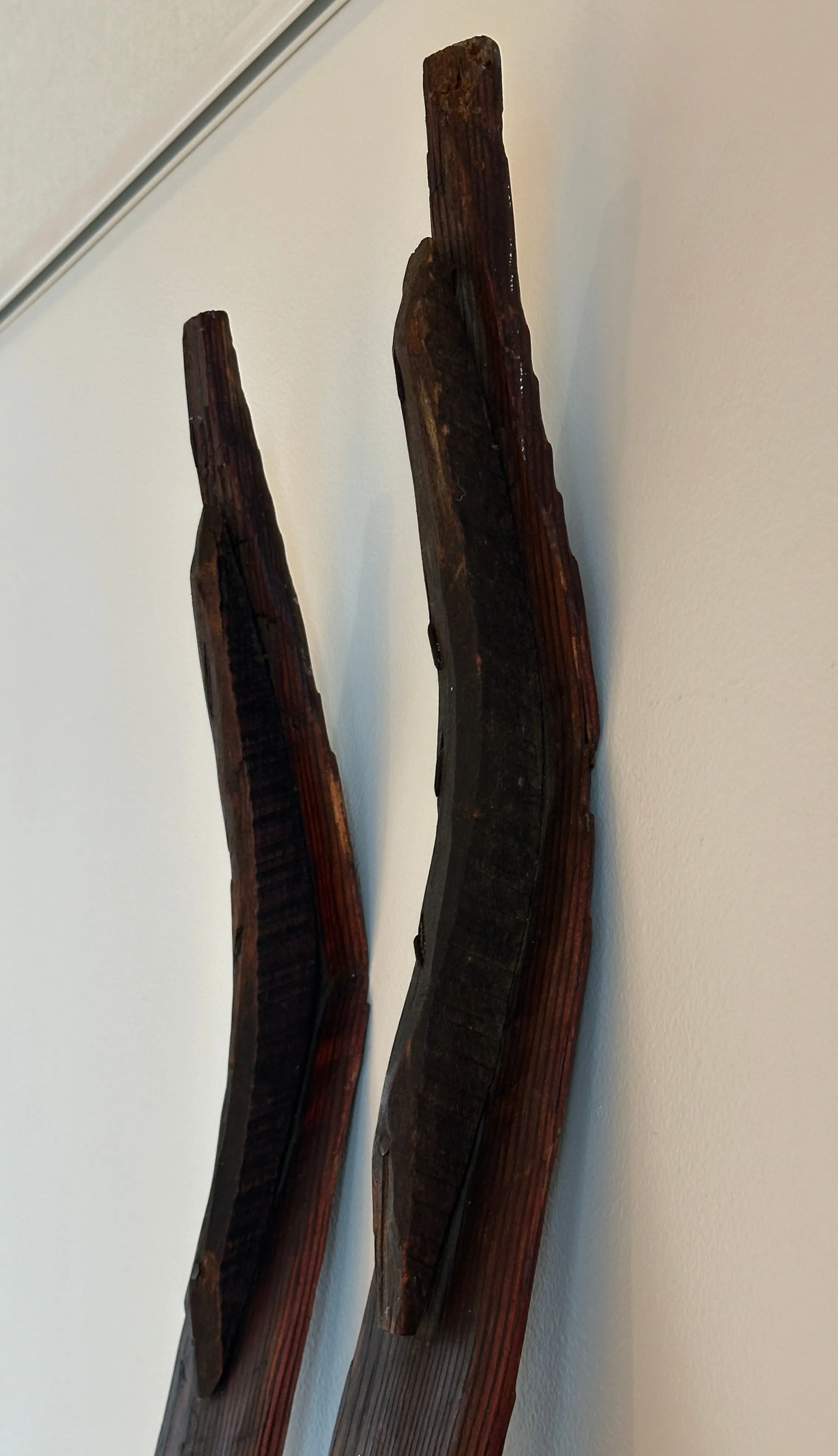 Primitive Transportation Snow Skis