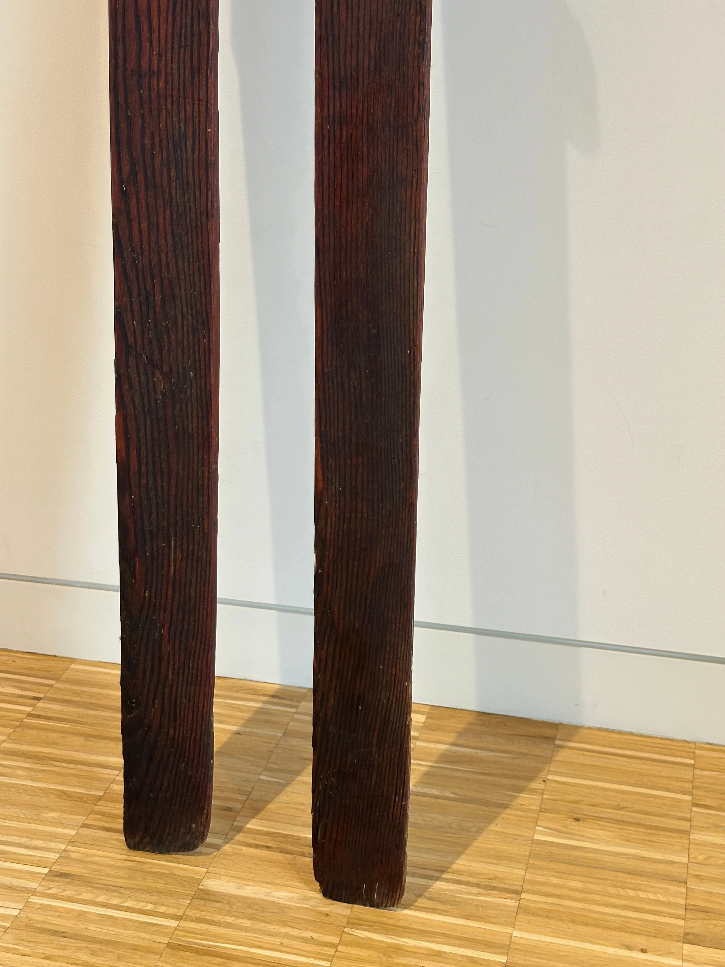 Primitive Transportation Snow Skis